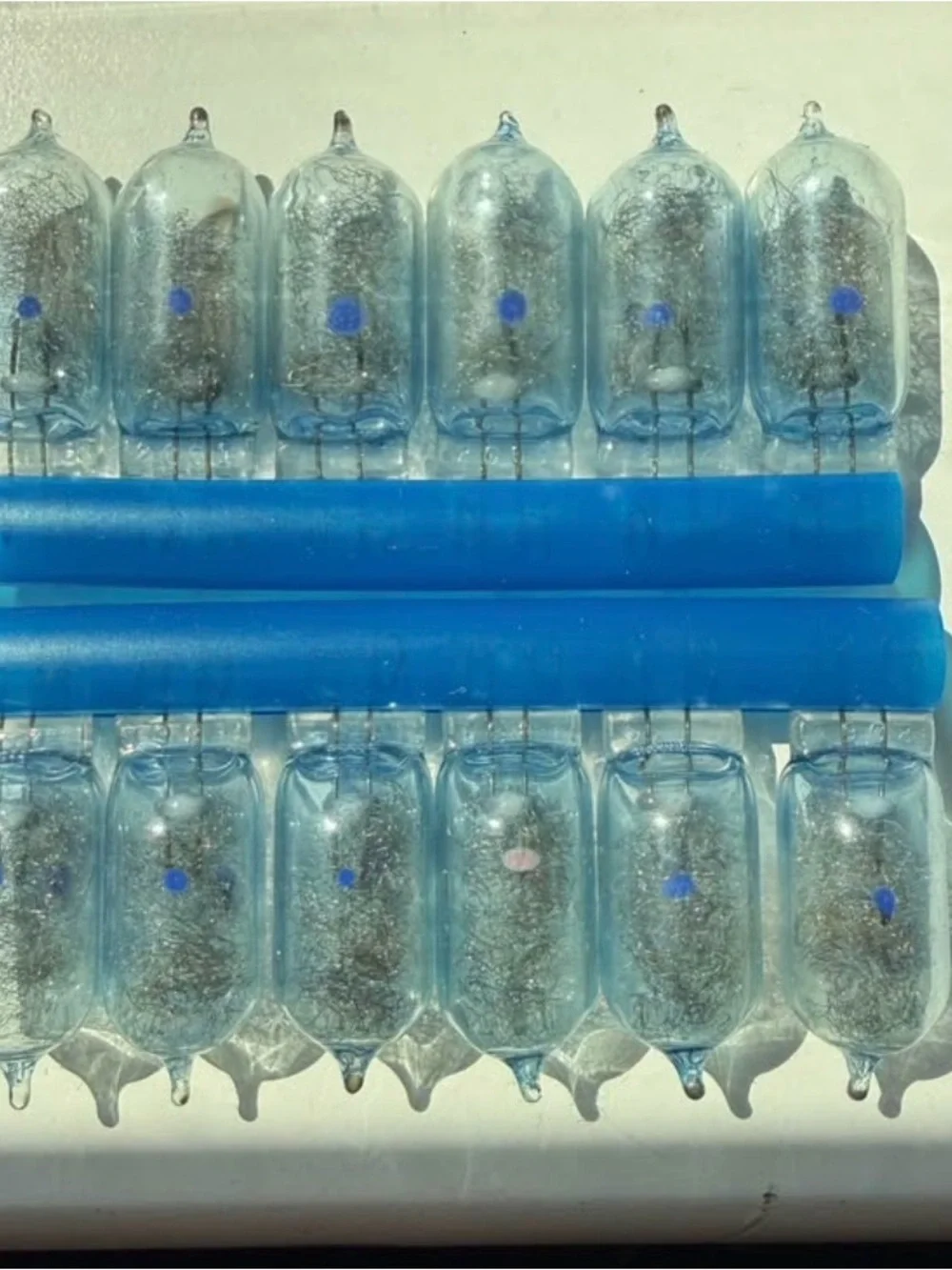 Vintage Sylvania AG1B Blue Dot Flashbulbs - Box of 12